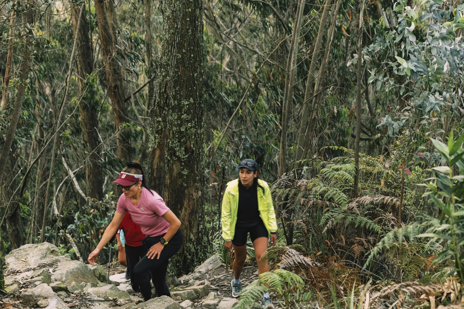 TRAIL RUNNING EN EL SENDERO ROCOSO